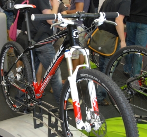 hardtail