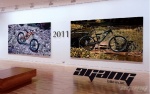 AGang_2011