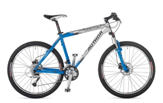 Traction Disc