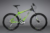 Kellys Salamander 2012