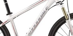 CANNONDALE Trail SL5 feminine