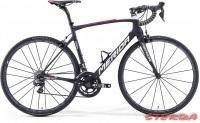 Merida RideTeam-E 2016