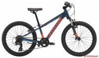 Cannondale Trail 20 Boy's 2018