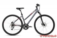 Kellys CLEA 90 2018