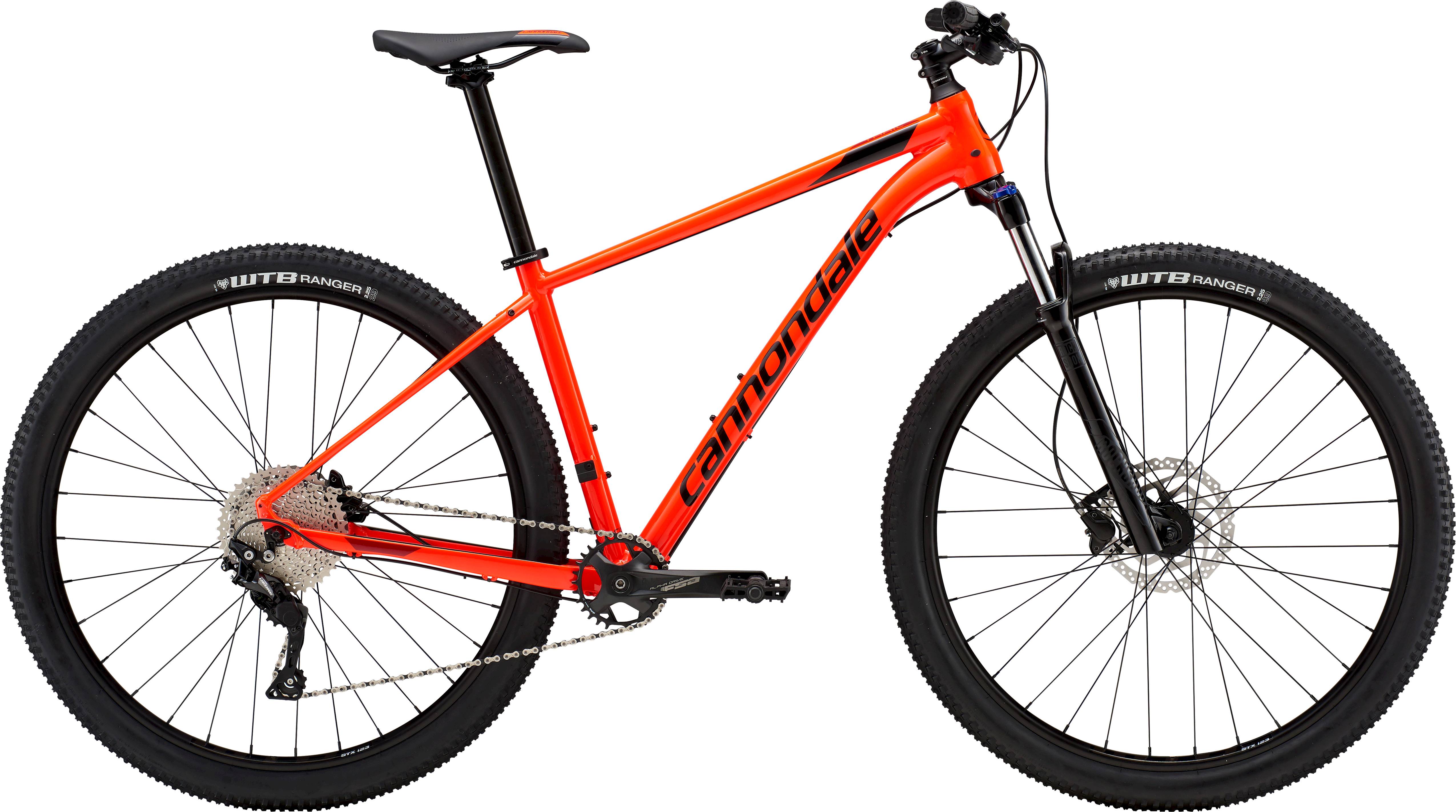 cinelli gravel 2021