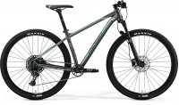 MERIDA BIG.NINE 600 2019