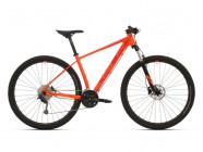 SUPERIOR XC 869 2019