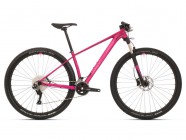 SUPERIOR Modo XP 919 2019