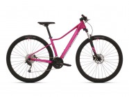 SUPERIOR Modo XC 869 2019