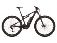 SUPERIOR eXF 939 2019