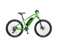 Apache Tate 24" 2019