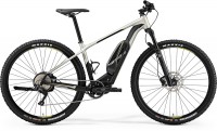 MERIDA eBIG.NINE 600 2019