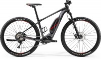 MERIDA eBIG.NINE LIMITED 2019