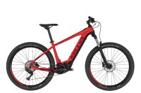 KELLYS Tygon 50 2020