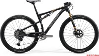 MERIDA NINETY-SIX 9.9000 2020