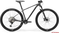 MERIDA BIG.NINE 700 2020