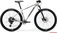 MERIDA BIG.NINE NX-EDITION 2020