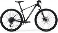 MERIDA BIG.NINE LIMITED-AL 2020