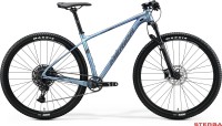 MERIDA BIG.NINE LIMITED-AL 2020