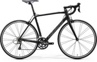 MERIDA SCULTURA 100 2020