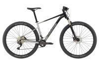 CANNONDALE TRAIL 29" SL 4 2021