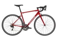CANNONDALE CAAD OPTIMO 1 2021