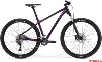 MERIDA BIG.NINE 300 2021