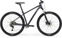 MERIDA BIG.NINE 200 2021