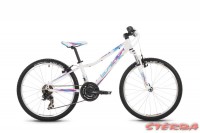 Superior XC 24 PAINT 2016